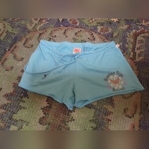 Vintage Y2K 00s Big Flirt Shorts Microshorts Bombay Yoga Blue Teal Sweatshorts L